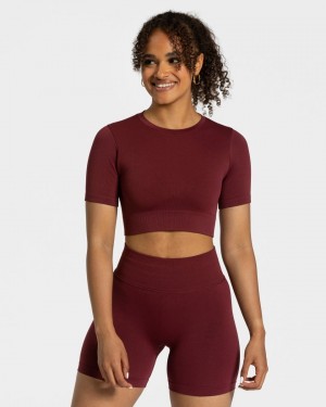 Burgundy Teveo Sensation Crop Women's Tops | UK-LWDE53629