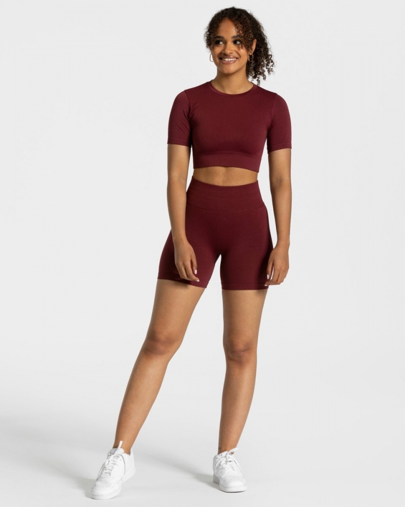 Burgundy Teveo Sensation Crop Women's Tops | UK-LWDE53629