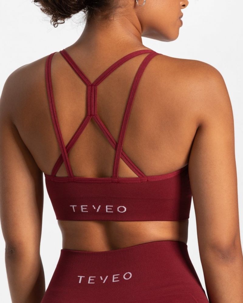 Burgundy Teveo True Women's Sports Bra | UK-SNMD15869