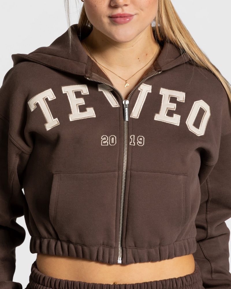 Dark Brown Teveo College Zip Women's Hoodie | UK-EJAY72689