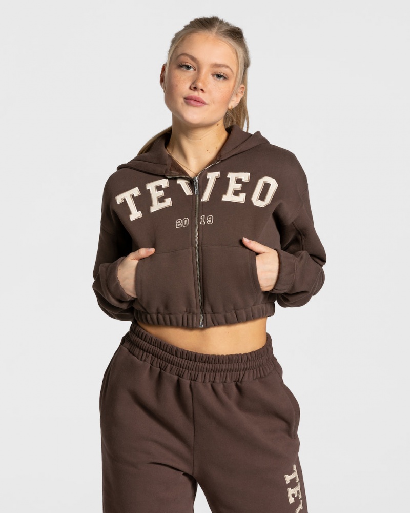 Dark Brown Teveo College Zip Women\'s Hoodie | UK-EJAY72689