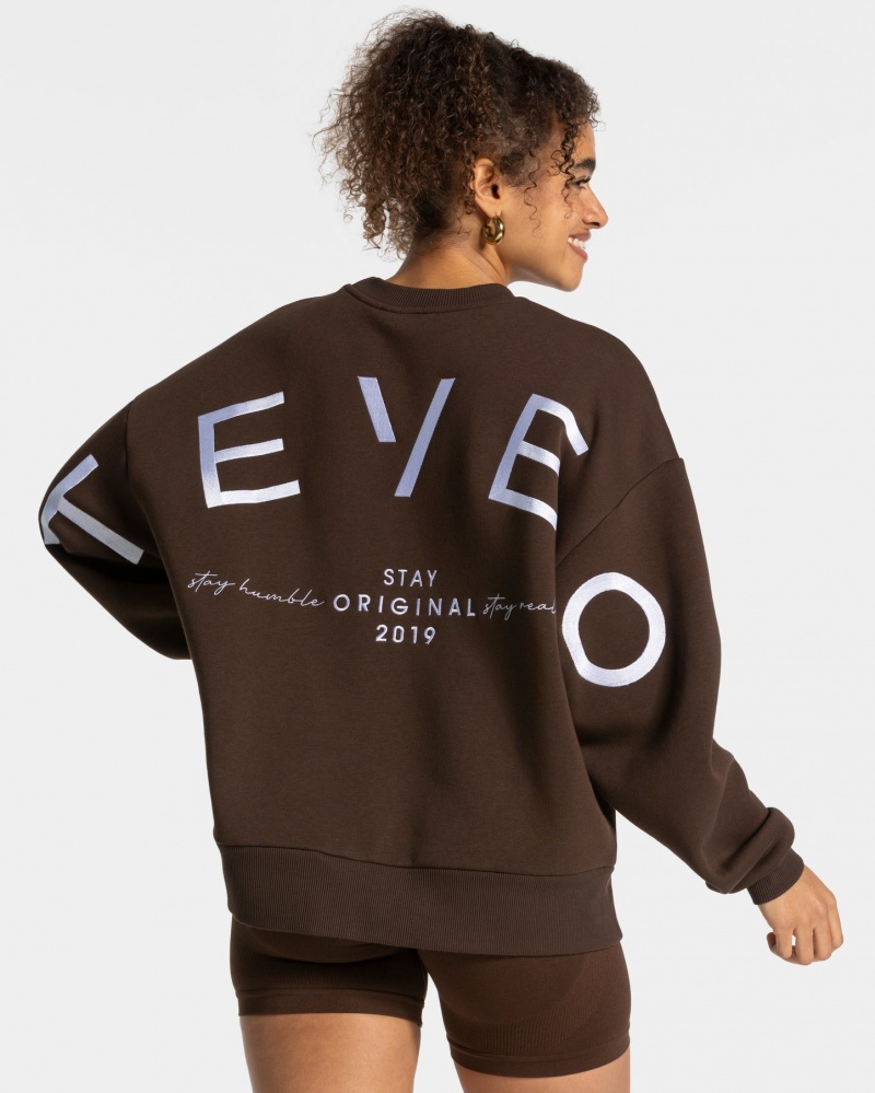 Dark Brown Teveo Signature Oversized Women\'s Sweaters | UK-RCIM34709