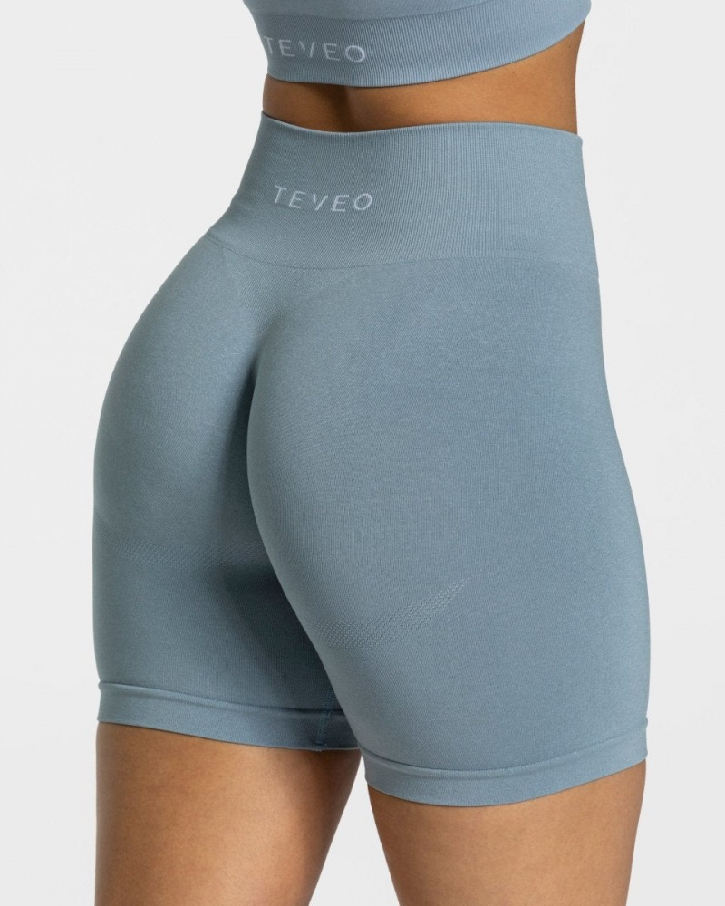 Grey Blue Teveo Classy Women's Shorts | UK-NFTQ69581