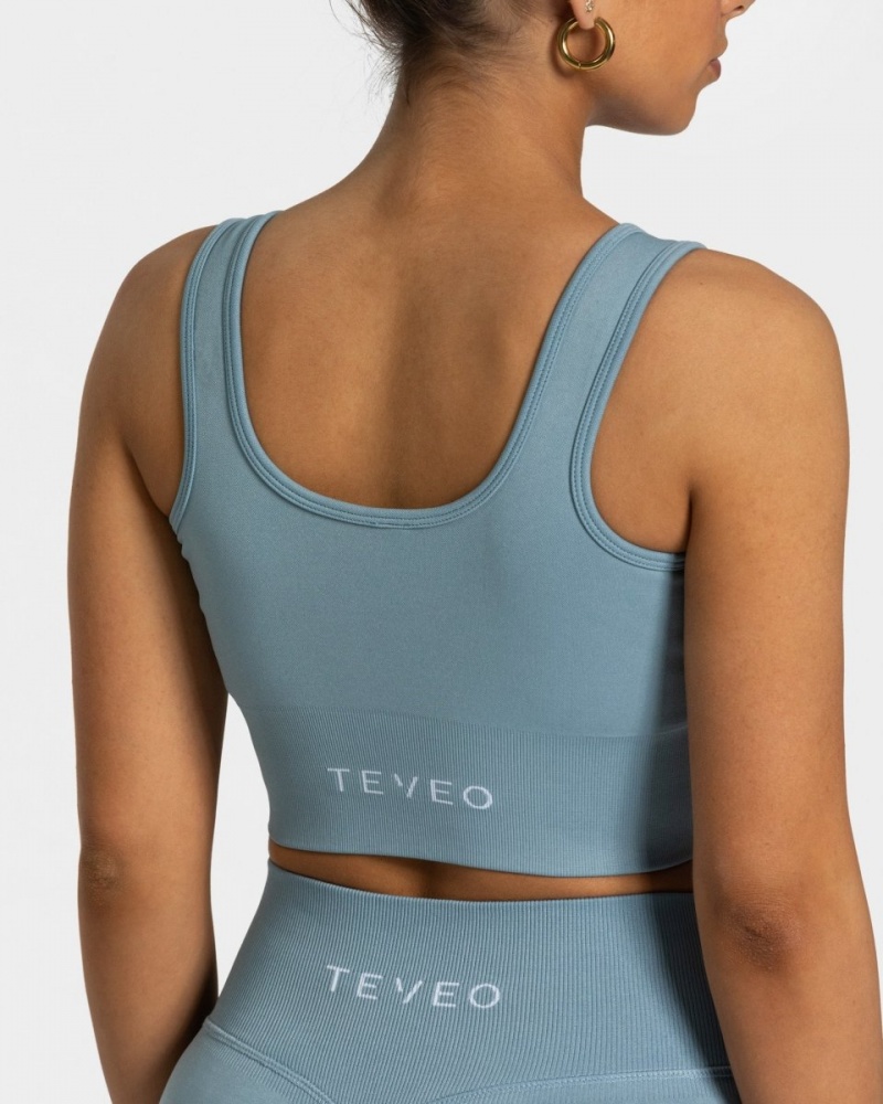 Grey Blue Teveo Sensation Women's Sports Bra | UK-MTDG15346