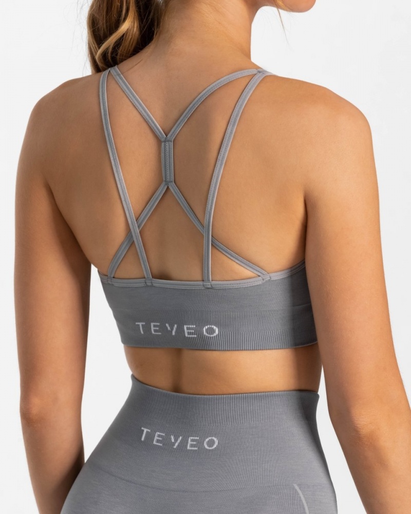 Grey Blue Teveo True Women's Sports Bra | UK-PRVC04215