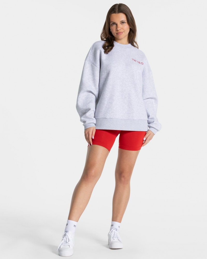 Light Grey Teveo Signature Oversized Women's Sweaters | UK-SOTQ63852