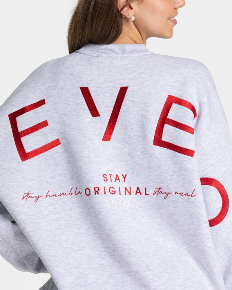 Light Grey Teveo Signature Oversized Women's Sweaters | UK-SOTQ63852